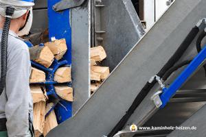 Verarbeitung von Buchenholz zu ofenfertigem Kaminholz